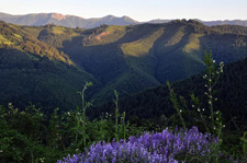 Bulgaria-Mountains-Teteven Balkan Village Trek